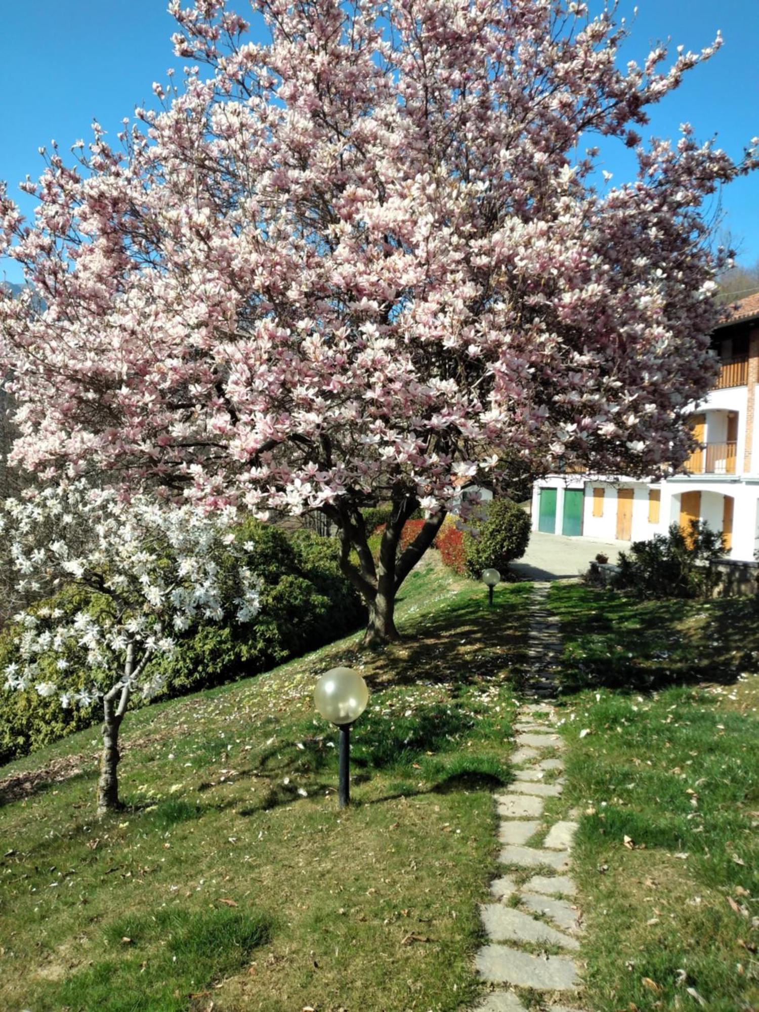 Appartamento A Due Passi Da Burcina Favaro Exterior foto